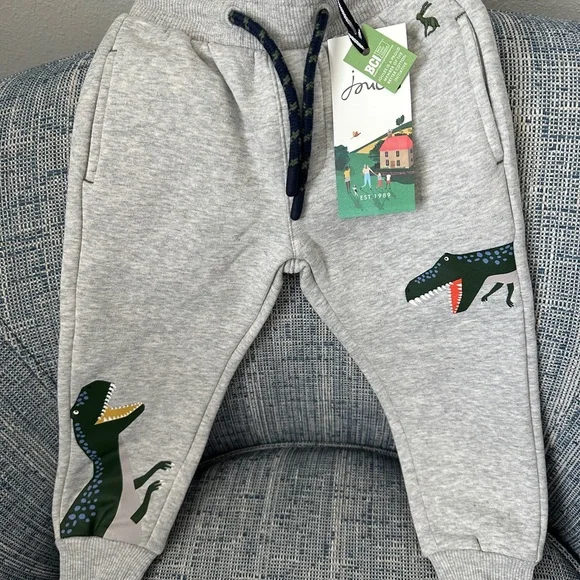 Joules NWT Boys Grey Champion GRMDINO Sweat Pants—Age 1, Height 31.5 - Picture 1 of 7